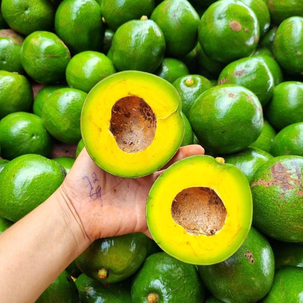 Chuyển phát nhanh bơ Đắc Lắk đến các tỉnh miền Bắc