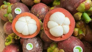Chuyển phát nhanh măng cụt Lái Thiêu đi Hà Nội