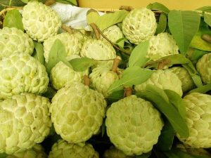 Chuyển phát nhanh Na Chi Lăng đi HCM