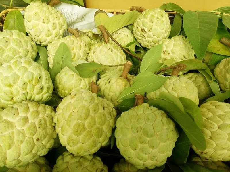 Chuyển phát nhanh Na Chi Lăng đi HCM