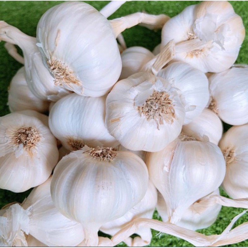 Chuyển phát nhanh tỏi Lý Sơn