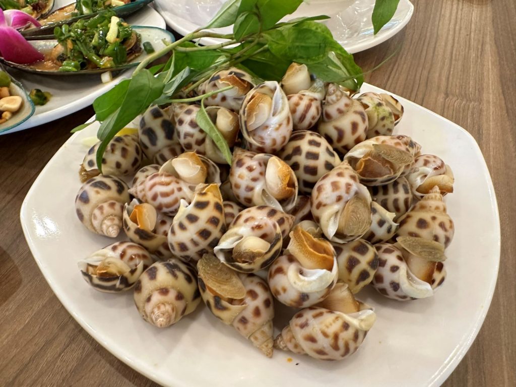 Gửi ốc hương Khánh Hòa