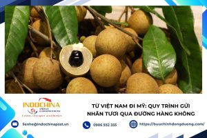 Gửi nhãn tươi đi Mỹ bằng đường hàng không