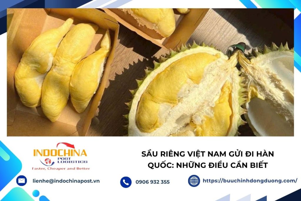 Sầu riêng Việt Nam gửi đi Hàn Quốc