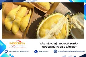 Sầu riêng Việt Nam gửi đi Hàn Quốc