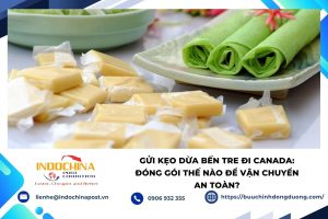Gửi kẹo dừa Bến Tre đi Canada an toàn