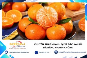 Chuyển phát nhanh quýt Bắc Kạn đi Đà Nẵng nhanh chóng