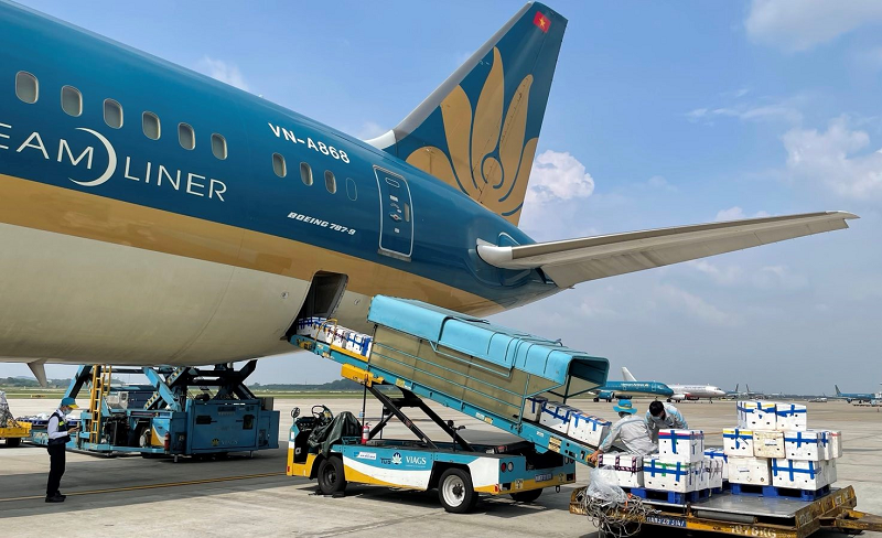 Top Sân Bay Có Sản Lượng Hàng Hóa Lớn Nhất Việt Nam Năm 2026