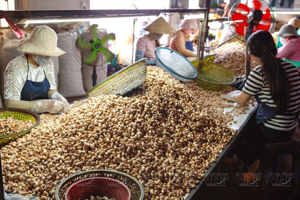 Chuyển phát nhanh hạt điều Bình Phước