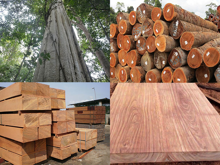 Đồ gỗ