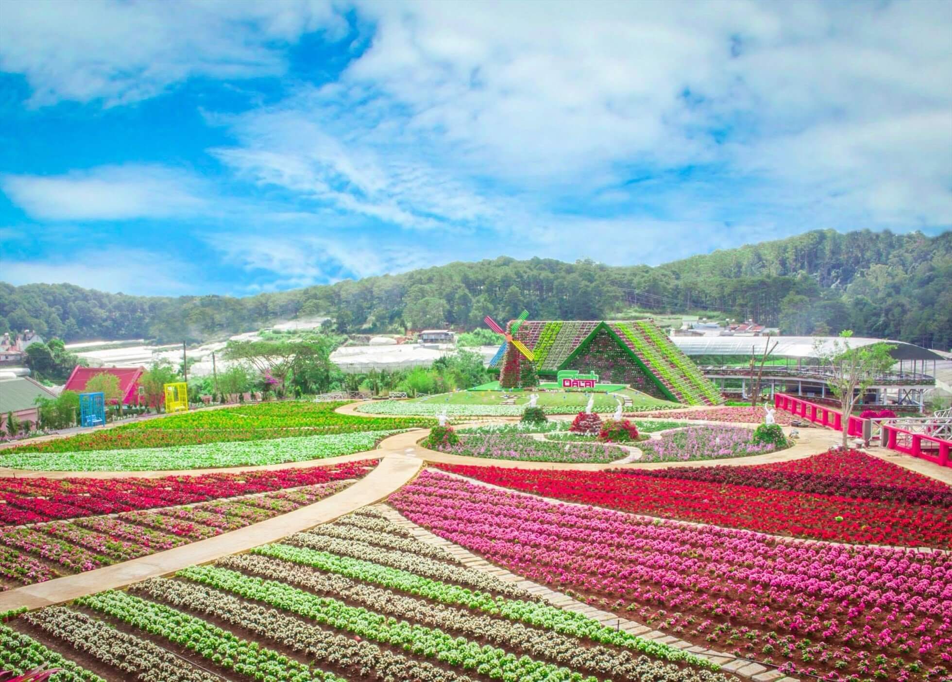 Chuyển Hoa Tươi Đà Lạt