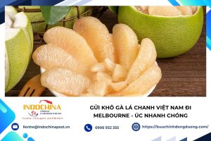 Gửi Bưởi Sang Châu Âu